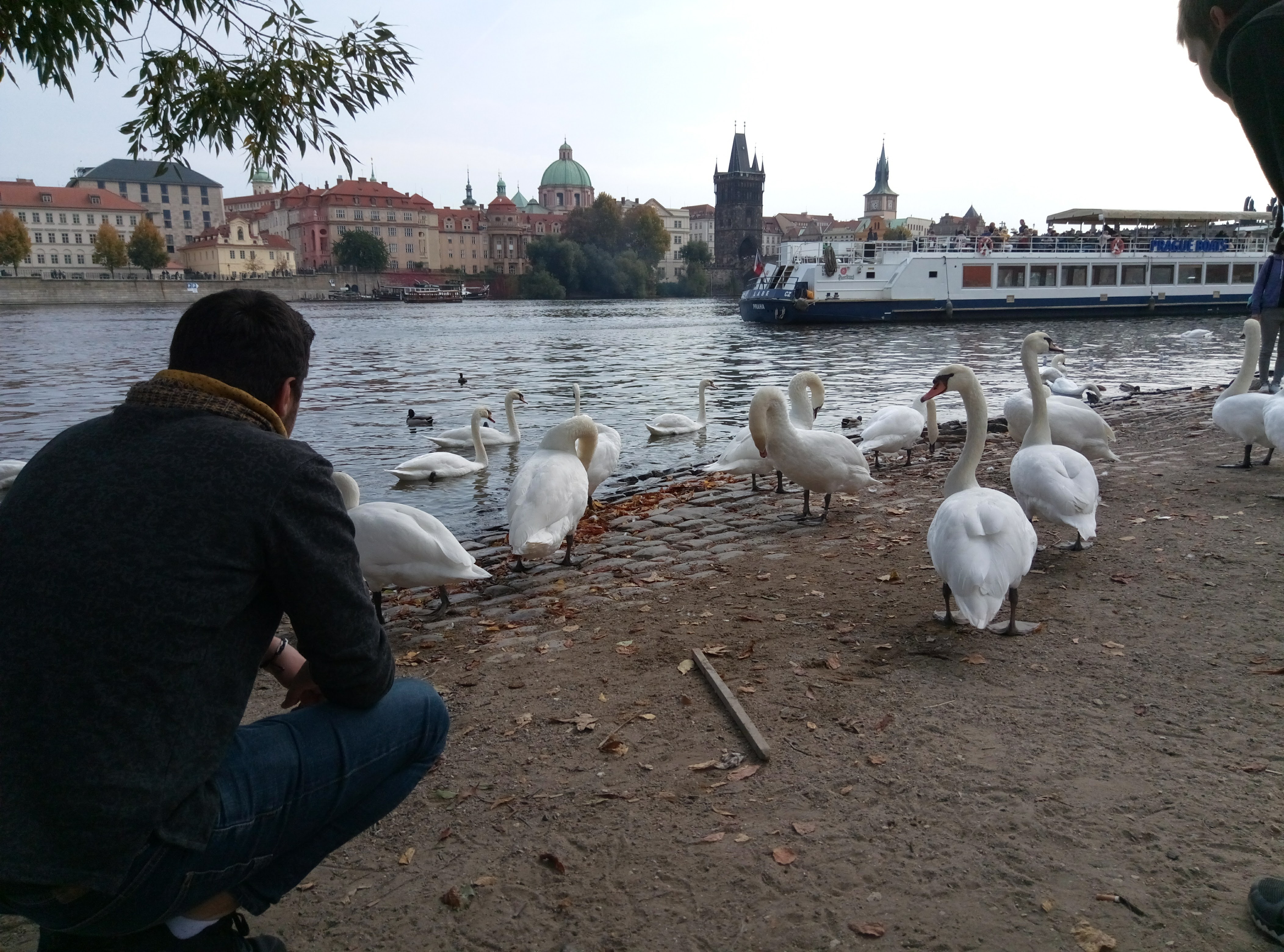 La vida de Praga y alrededores